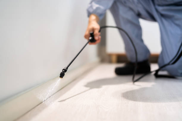Professional exterminator conducting IPM assessment in Haledon