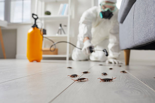 Commercial Rodent Management in Haledon
